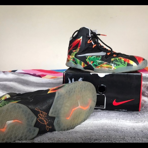 Nike Other - Lebron 11 Everglades